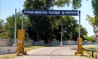 Alquiler Excelente Nave Industrial 1380m2 Parque Industrial Platanos
