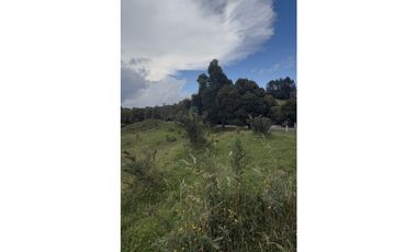 VENTA DE LOTE EN ALTO DE PALMAS