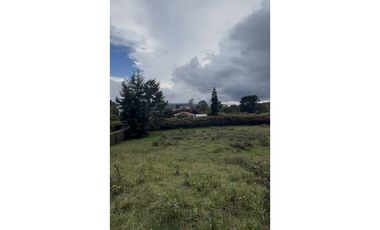VENTA DE LOTE EN ALTO DE PALMAS