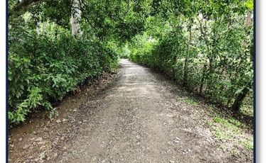 Finca en venta en ¨Parcelación, Santafe de Antioquia.