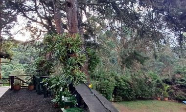 Venta FINCA Campestre Dapa Con Todas Las Comodidades  cerca a CALI