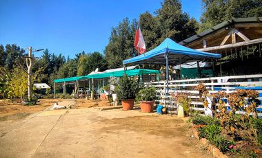casa con cabaña y buen terreno en Parral