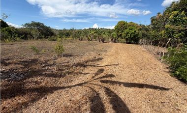 SAN CARLOS / LA ERMITA / 5339M / TERRENO PLANO / CERCA DE RIO / AG