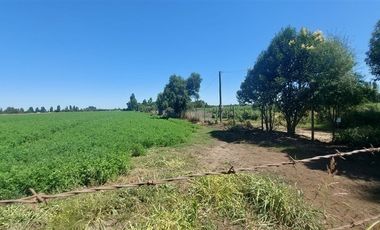 Agrícola en Venta en Gran Oportunidad Se Vende Campo Agrícola 18 hec en el Sector el Retiro Talca