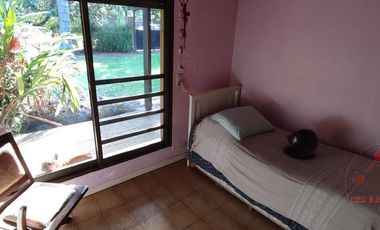 Casa - Nebel