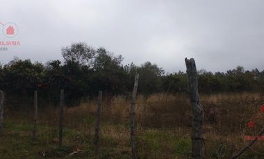 Quinta - Federacion