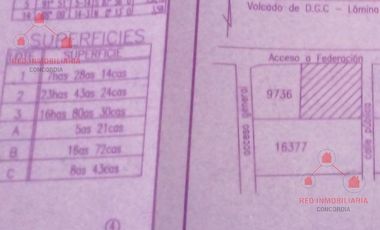 Quinta - Federacion