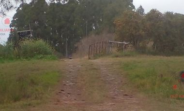 Quinta - Federacion