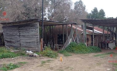 Quinta - Federacion