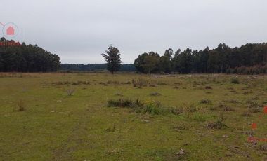 Quinta - Federacion