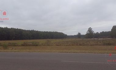Quinta - Federacion