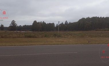 Quinta - Federacion