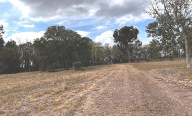 Almirante Brown Venta terreno