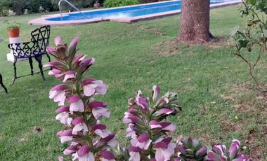 Casa en Mar Del Plata