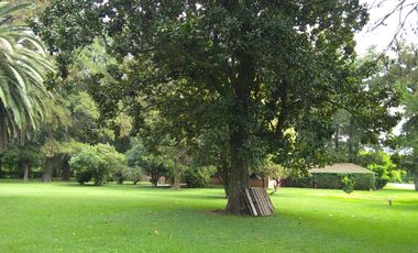 Venta Estancia en solis