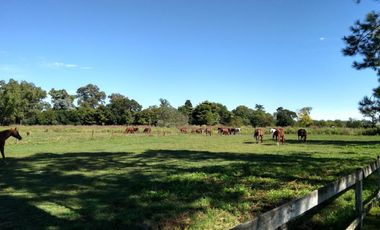 Venta Estancia en solis