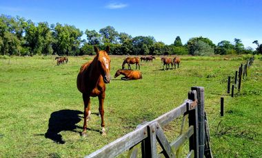 Venta Estancia en solis