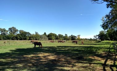 Venta Estancia en solis