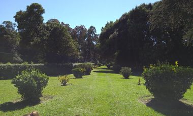 Venta Estancia en solis