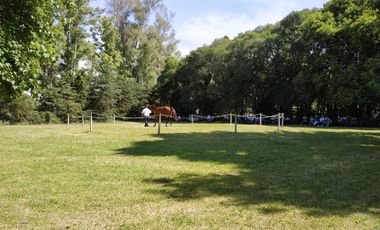 Venta Estancia en solis