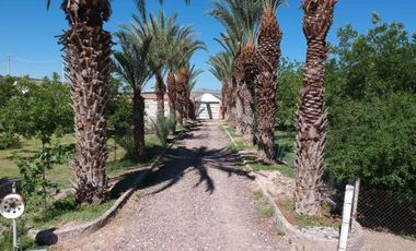Finca-Rancho en Venta en El Vergel, Gómez Palacio, Durango