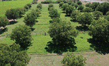 Finca-Rancho en Venta en El Vergel, Gómez Palacio, Durango