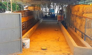 Finca-Rancho en Venta en El Vergel, Gómez Palacio, Durango