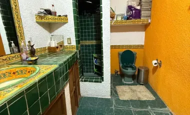 Casa con jardines interiores