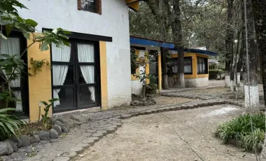 Casa con jardines interiores