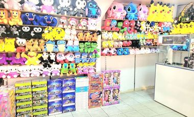 Oportunidad de Compra Local Comercial en Barrio Meiggs