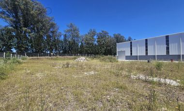 Nave Industrial en Alquiler 1500 m2 en POLO INDUSTRIAL EZEIZA