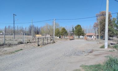 Terreno alquiler comercial en Plottier