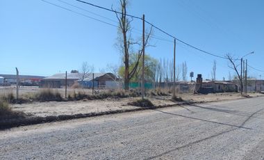 Terreno alquiler comercial en Plottier
