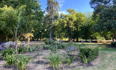 Quinta en venta con un gran  terreno - Restaurante - La Querencia de Monasterio - Lezama