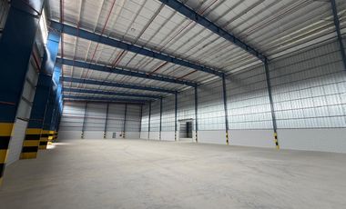 Alquiler A Estrenar 3000 mts cub Desarrollo Triple A
