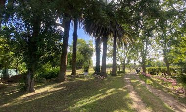 Venta de fondo de comercio - Restaurante - Hostería- La Querencia de Monasterio - Lezama