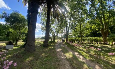 Venta de fondo de comercio - Restaurante - Hostería- La Querencia de Monasterio - Lezama