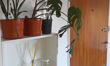 Olivos - Excelente ubicación! Monoambiente con Cocina separada y vista abierta!