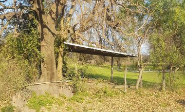 Quinta
