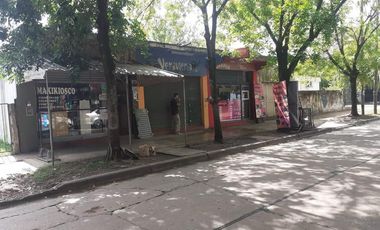 Edificio Comercial - Luis Guillon