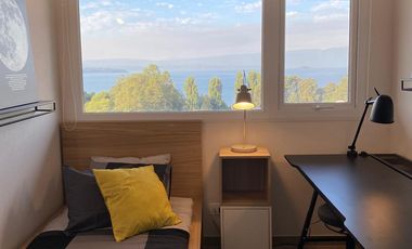 Saturnino Epulef 157 (1 Est /1 Bod) [3622-3]