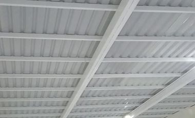 Bodega en Renta en Peñon de Los Baños.