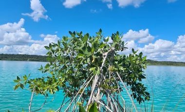 Terreno en Venta en Bacalar