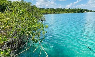 Terreno en Venta en Bacalar
