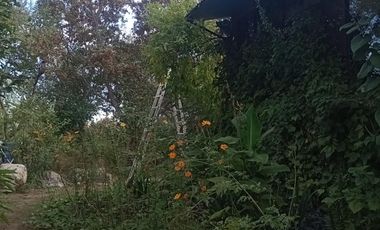 Casa en San Javier