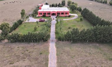 Chacra en venta 4 has San Andres de Giles excelente casco