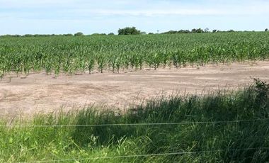 Campo en venta de 520 has mixtas en Entre Rios
