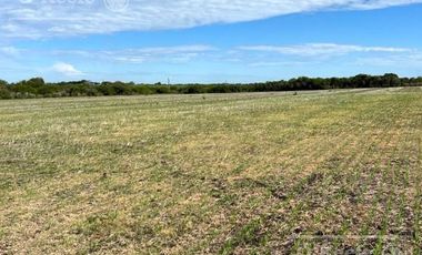Campo en venta de 520 has mixtas en Entre Rios