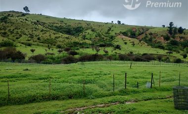 Parcela en Venta en TRATO DIRECTO DUEÑO