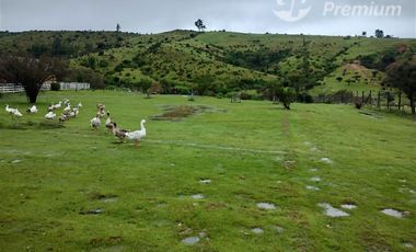 Parcela en Venta en TRATO DIRECTO DUEÑO